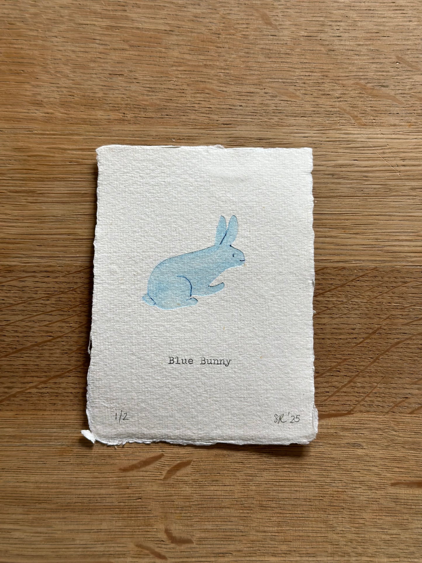 Blue Bunny nr 1/2