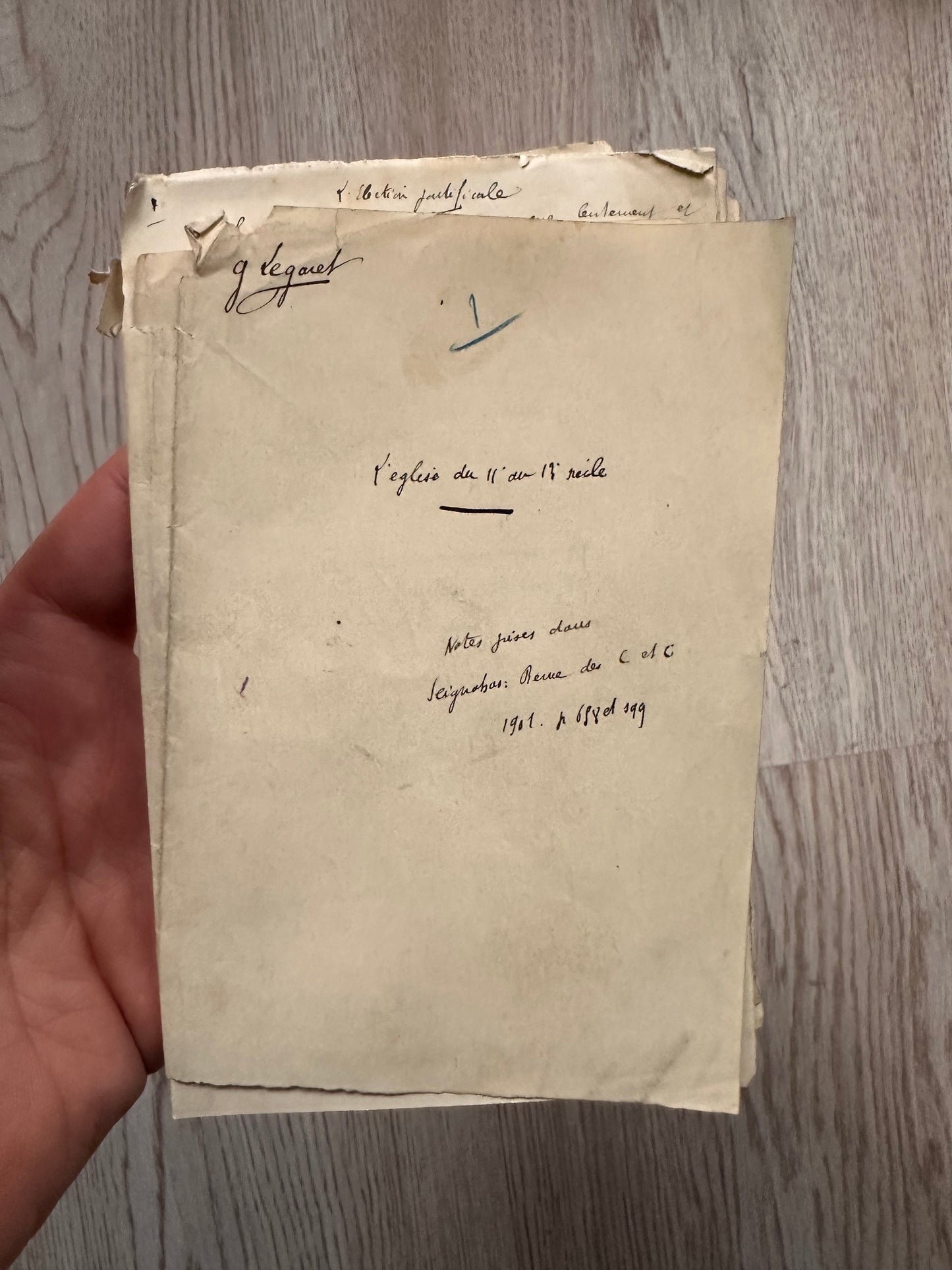 Vogels met een Verhaal - notities van Gustave 1901