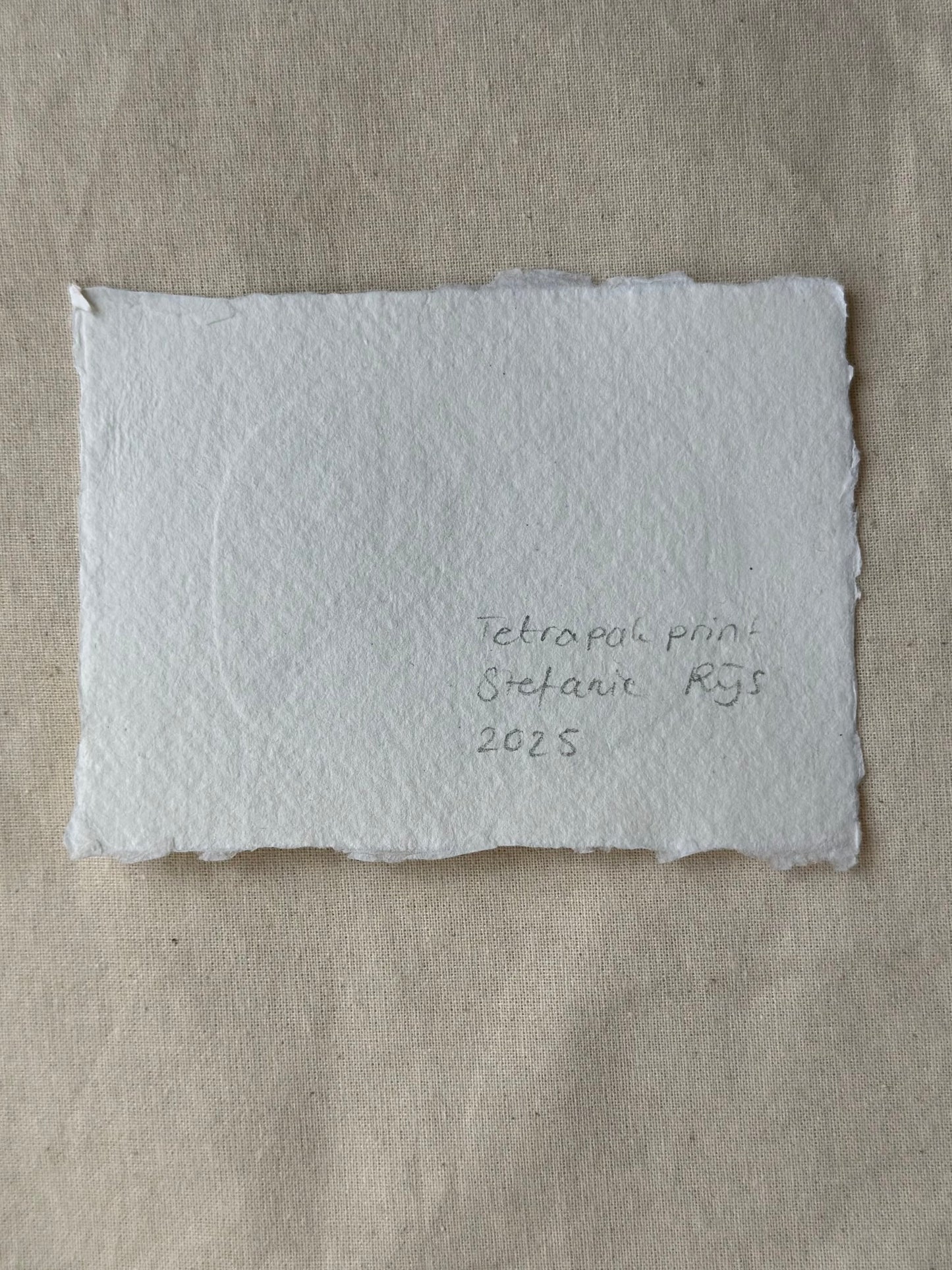 Groene vogel - Tetrapak print 2 van 2