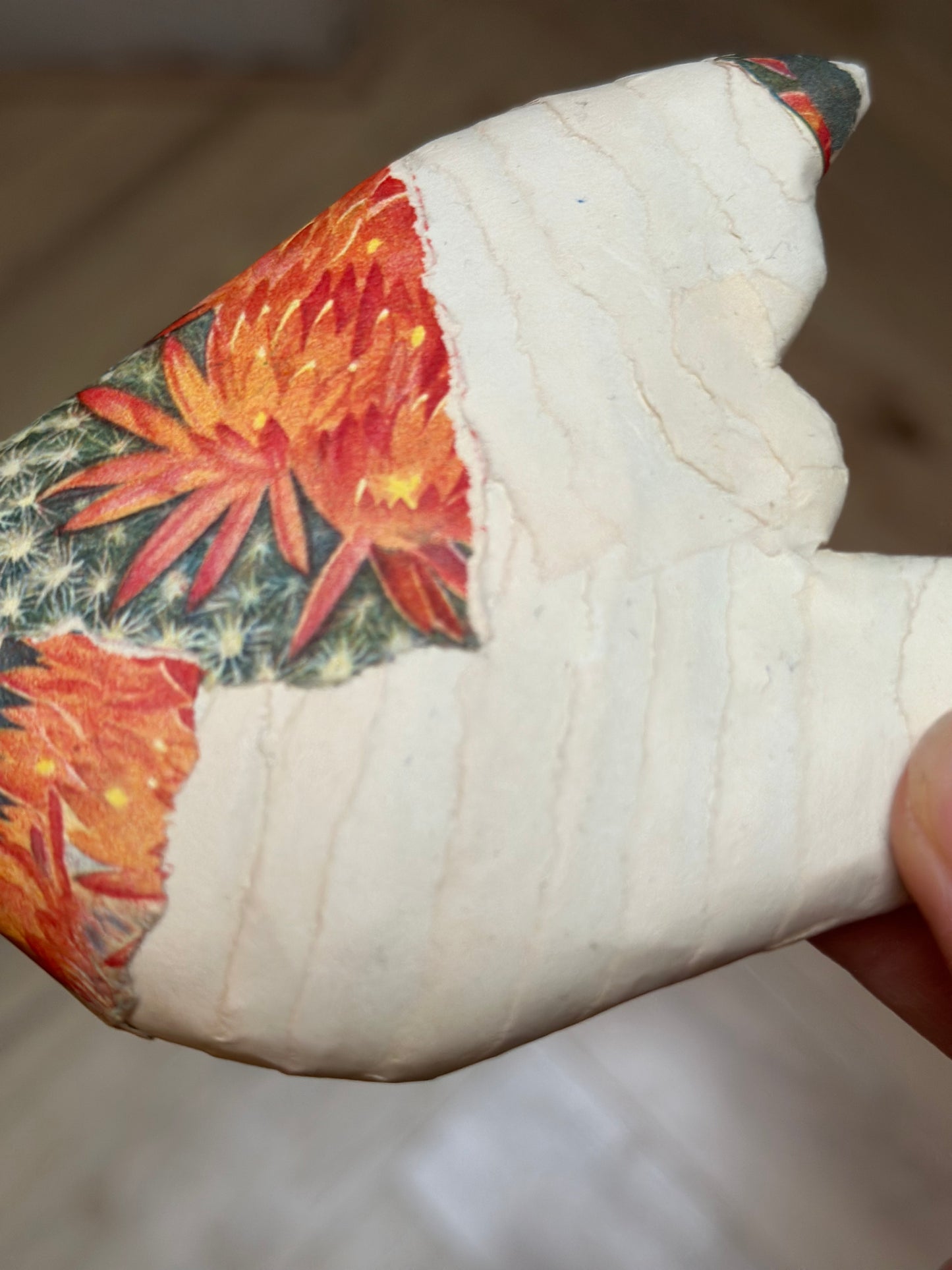 Vogels met een verhaal - Verkade plaatje met oud tekenpapier