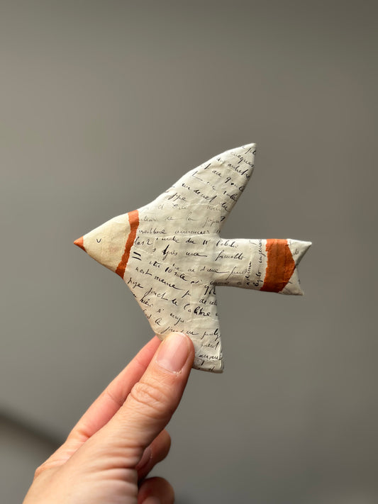 Vogels met een verhaal - Handgeschreven notities 1901