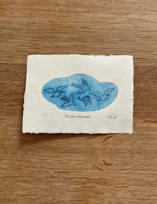 Vogelvlucht nr 1/2