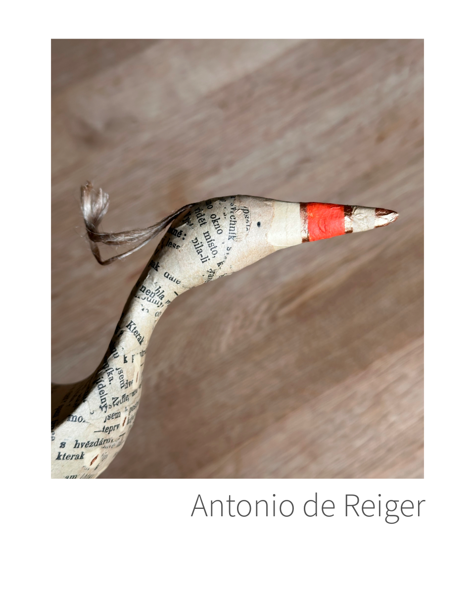 Antonio de Reiger DIY pakket 