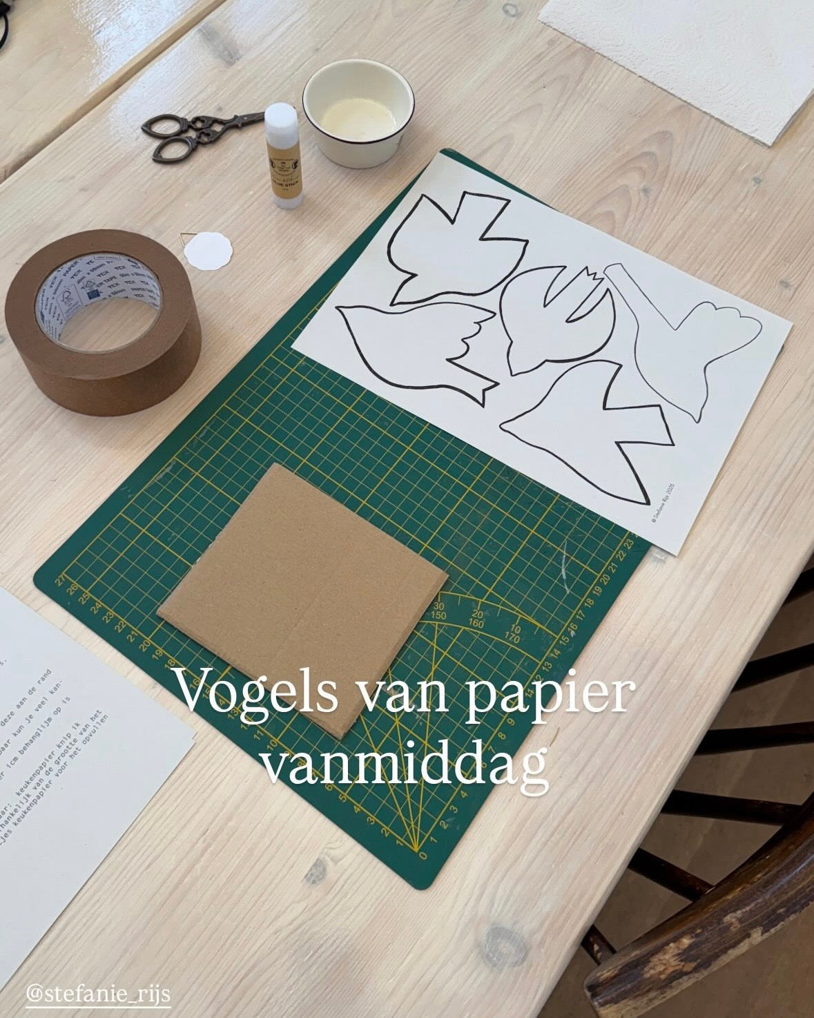 Workshop - Vogels met een verhaal 12 april - Haarlem