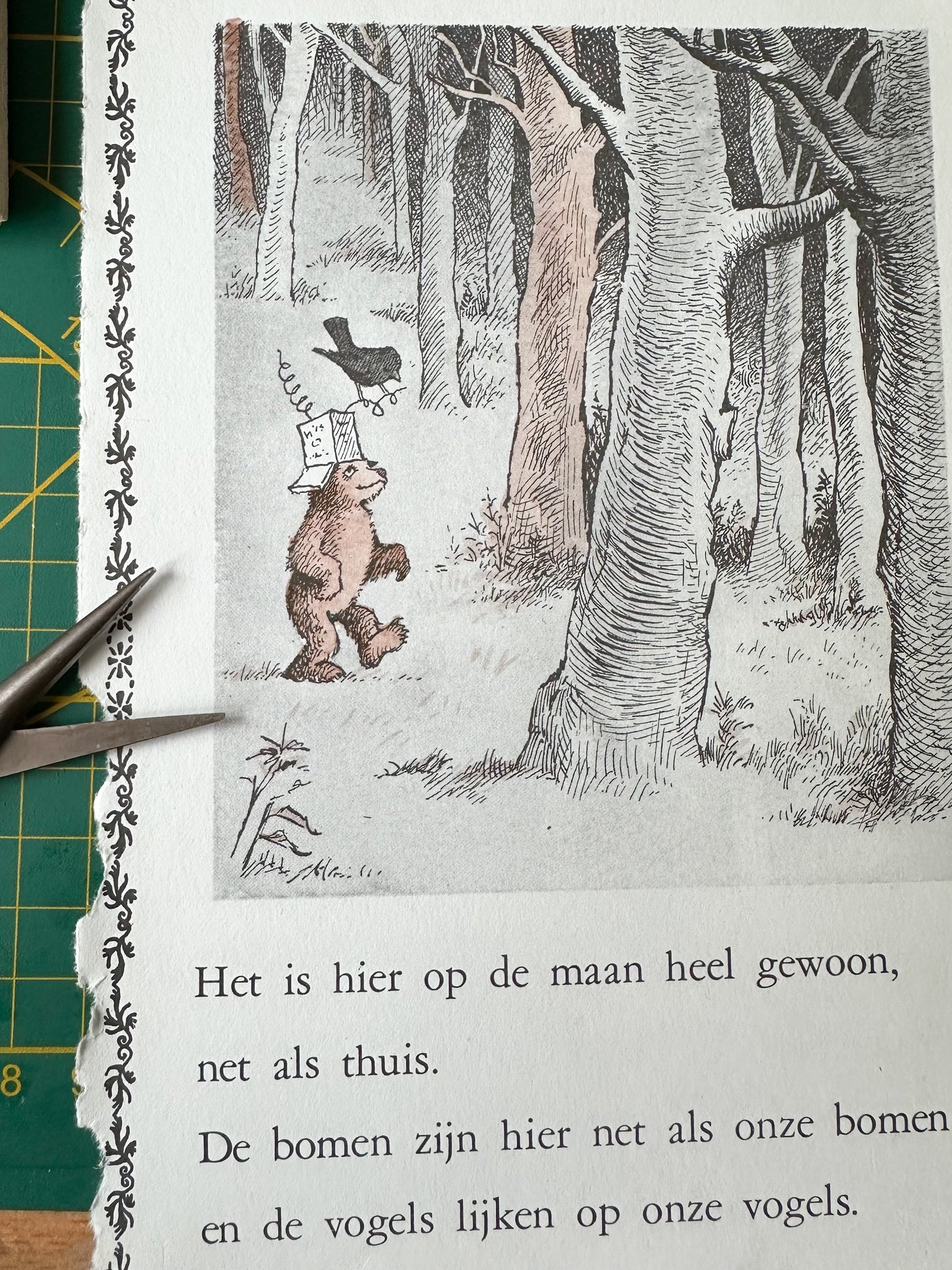 Vogels met een Verhaal - bladzijde Kleine Beer 1974