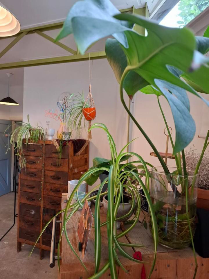 Workshop - Vogels met een verhaal - 28 juni - Nijmegen