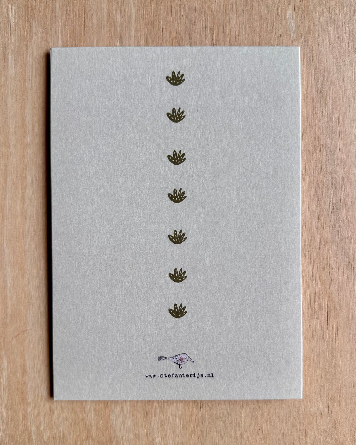Wenskaarten per stuk: stay wild