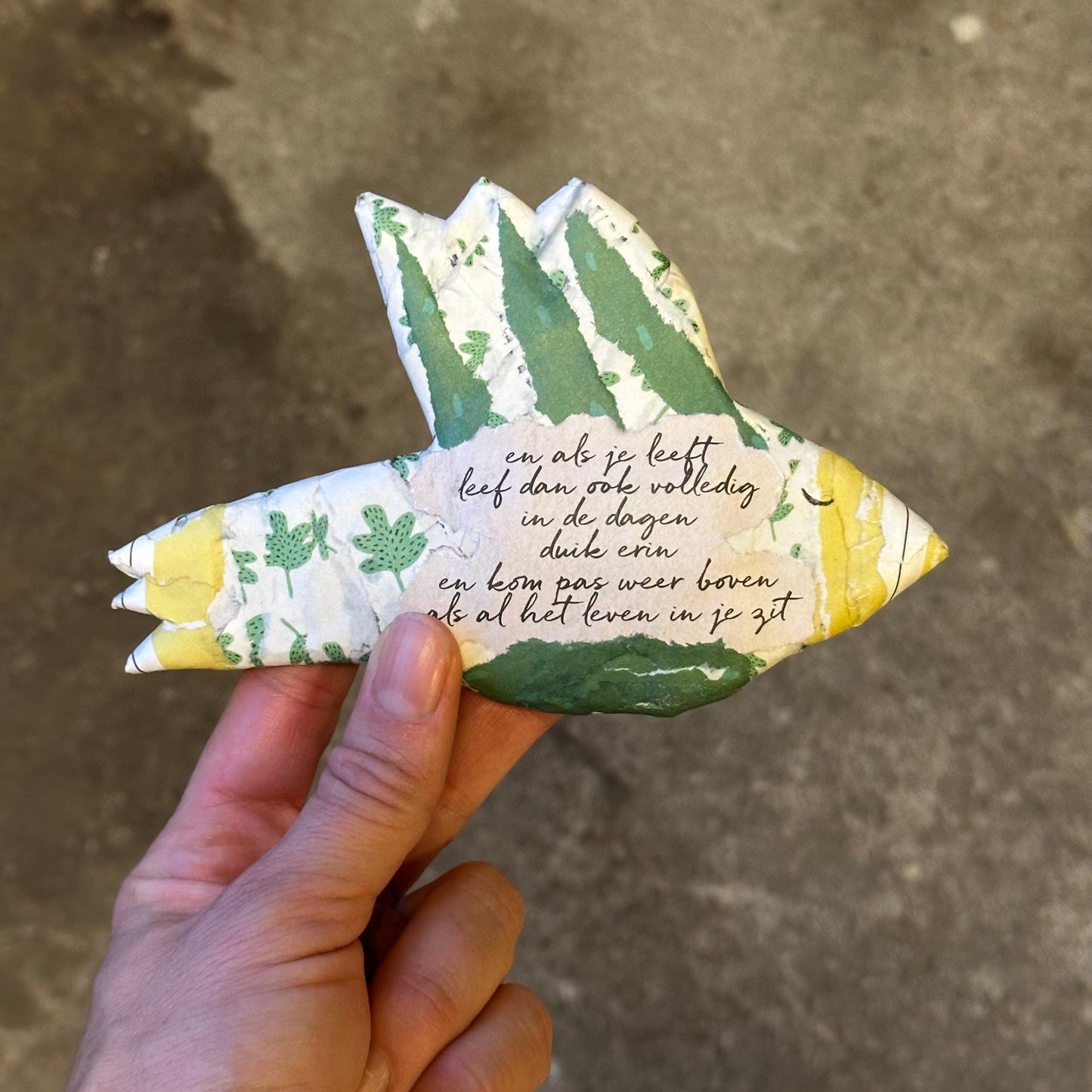 Workshop - Vogels met een verhaal - 28 juni - Nijmegen