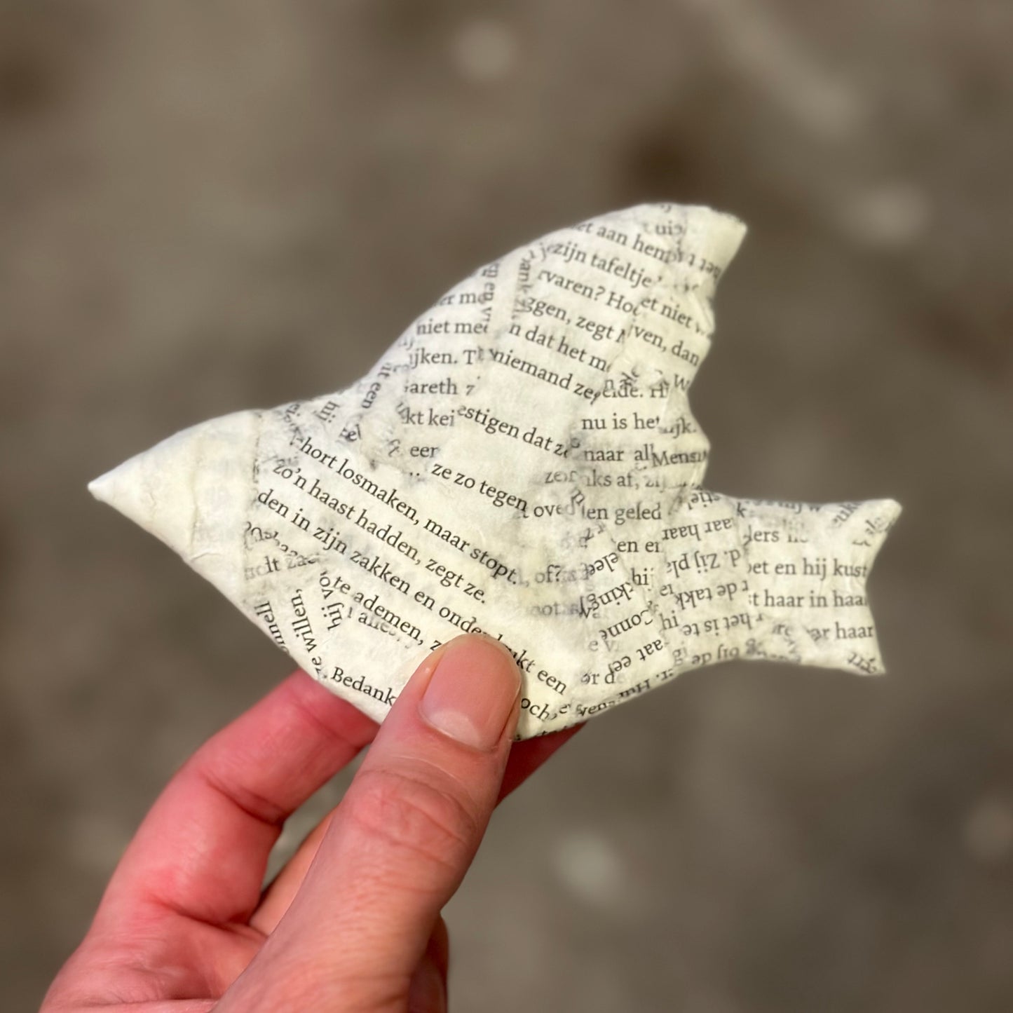 Workshop - Vogels met een verhaal - 28 juni - Nijmegen
